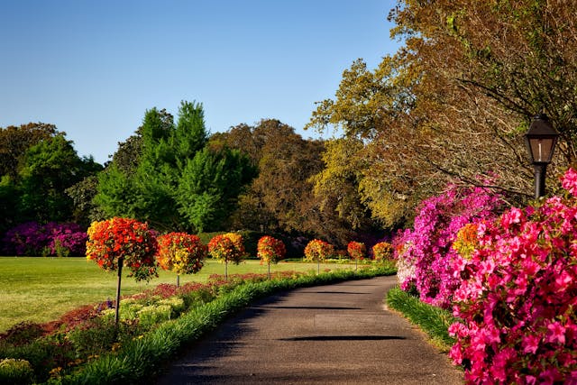 Exploring Garden Centre Ardcarne and Garden Centre Boyle: The Ultimate Gardening Destinations